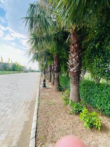 Image of 1200 Sq.ft Residential Plot / Land for sale in PR7 Airport Road, Zirakpur for Rs. 6990000