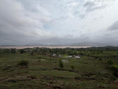 Image of 11000 Sq.ft Residential Plot / Land for sale in Bhor, Pune for Rs. 2100000