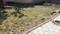 Basantpuri Colony near Amitesh Nagar Plot View 2