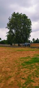 Patel Nagar Plot View 3