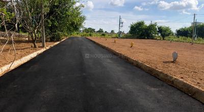 Prestige nature woods  Plot View 3