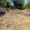 Palodiya Main Image 1