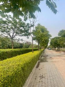 Sector 85 Plot View 2