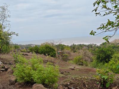 Image of 32670 Sq.ft Residential Plot / Land for sale in Shrivardhan, Raigad for Rs. 36000000