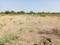 ARP BILAL HAGARGA ROAD GULBARGA  Plot View 2