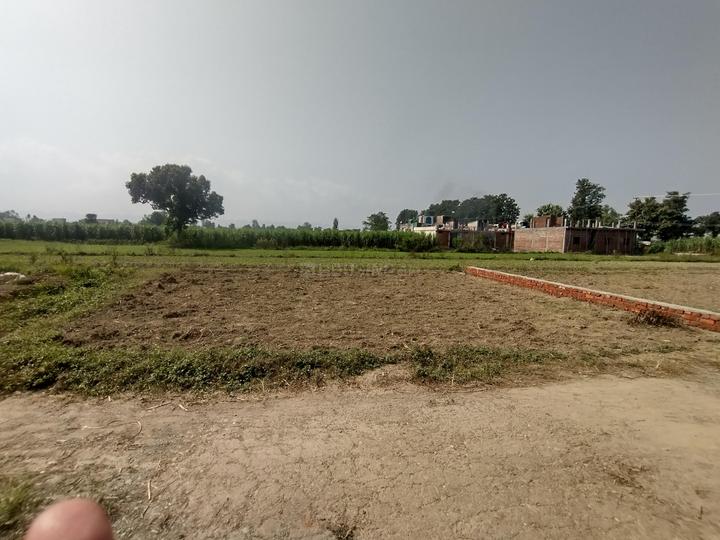 Selakui Main Image 1