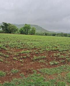 Image of 5000 Sq.ft 1 RK Farm House for sale in Simrol, Indore for Rs. 2600000