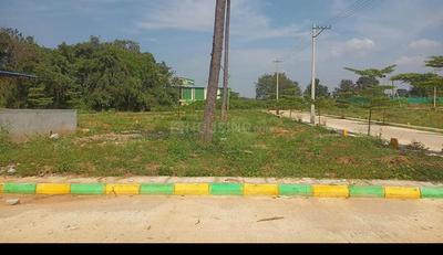 Residential Plot