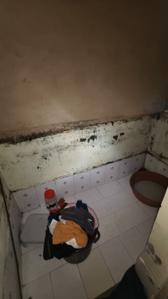 Image of 750 Sq.ft 1 BHK Apartment / Flat for rent in Prahlad Nagar, Ahmedabad for Rs. 15000