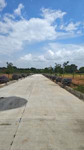 Sreenidhi Estates Serengeti Plot View 3