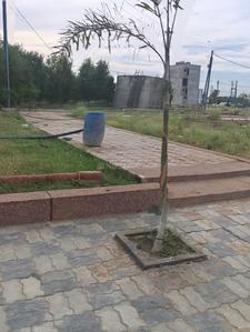 Shree Krishna Avenue Phase 1 Plot View 2
