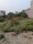 Ashokpuram Plot View 2