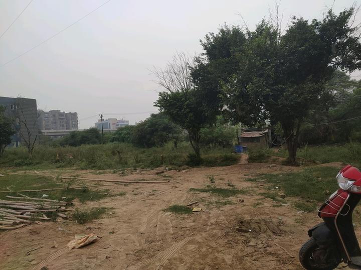 Baraula, Sector 49 Main Image 1