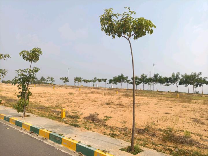 SGD Elite Main Image 1