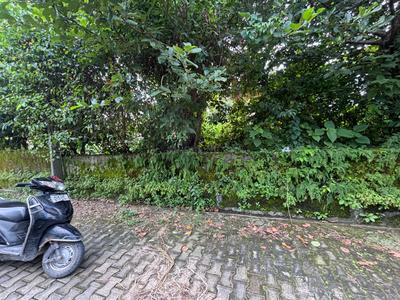 Image of 1150 Sq.ft Residential Plot / Land for sale in Sahastradhara Road, Dehradun for Rs. 9525000