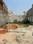 Sugamau Plot View 2