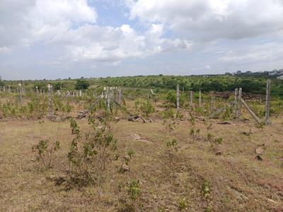 Image of 900 Sq.ft Residential Plot / Land for sale in Lohegaon, Pune for Rs. 3012000
