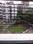Rizvi Complex Main Image 1