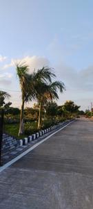 Image of 1250 Sq.ft Residential Plot / Land for sale in Bhilai Marshalling Yard, Charoda for Rs. 1999100