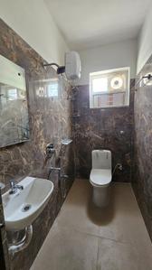 Image of 1750 Sq.ft 3 BHK Apartment / Flat for rent in Madhapur, Hyderabad for Rs. 59999