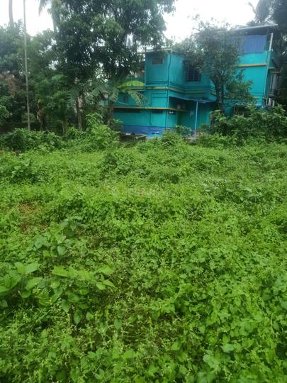 Adarsha polly Main Image 1