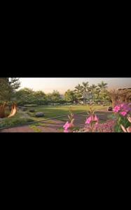 Skye Megacity Phase 2 Plot View 3