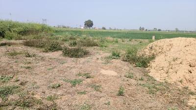 Image of 750 Sq.ft Residential Plot / Land for sale in Chirora, Patna for Rs. 1725000