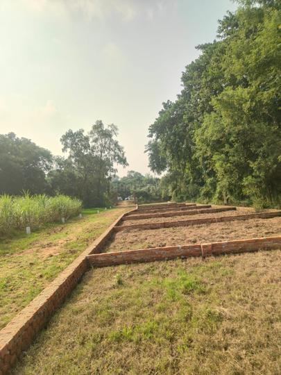Bihta project  Main Image 1