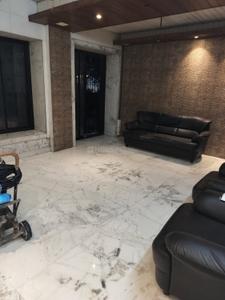 Hall Image of 1250 Sq.ft 2 BHK Apartment / Flat for rent in Lok Terraces CHS, Vashi Navi Mumbai for Rs. 65000