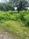 Shilpgram 2 Plot View 2