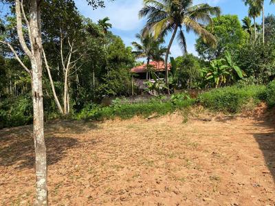 Image of 15000 Sq.ft 4 BHK Villa for sale in Mulanthuruthy, Kochi for Rs. 21600000