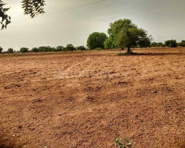 Khopate Main Image 1