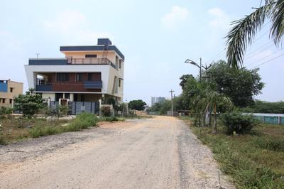 Plot View