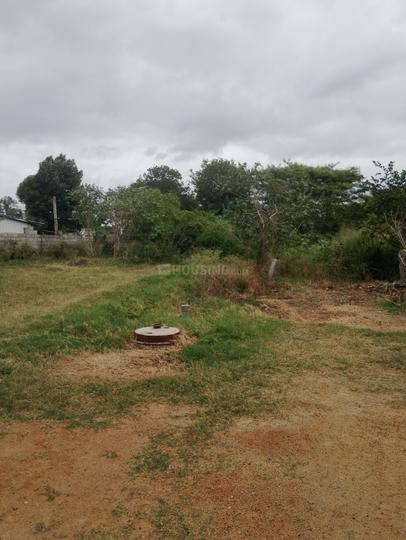 Teachers Colony Mahabubnagar Main Image 1