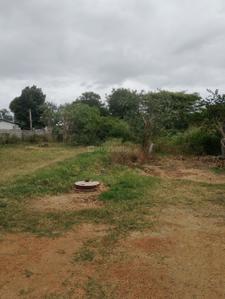 Teachers Colony Mahabubnagar Plot View 1