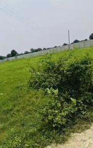 Image of 100 Sq.ft Residential Plot / Land for sale in Chhatikara, Vrindavan for Rs. 3150000