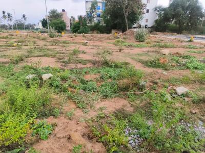 Residential Plot