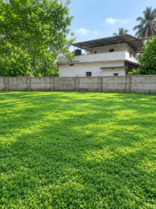 Image of 4356 Sq.ft Residential Plot / Land for sale in Pullazhi, Thrissur for Rs. 6500000