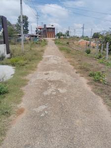 4th Stage Plot View 2