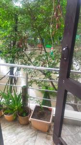 Balcony Image of 900 Sq.ft 2 BHK Builder Floor for sale in New Industrial Township Faridabad for Rs. 4500000