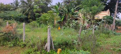 Mathur Plot View 1