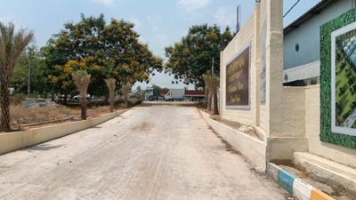 M V ROYAL PARK Plot View 3