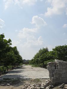 Image of 3600 Sq.ft Residential Plot / Land for sale in Jait, Vrindavan for Rs. 8000000
