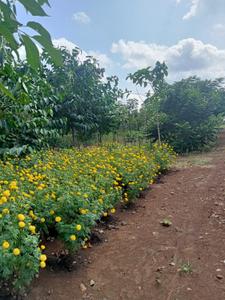Image of 1000 Sq.ft Residential Plot / Land for sale in Degma bk, Nagpur for Rs. 410000
