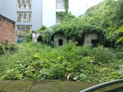 DDA Residential Plots Sector 17 Main Image 1