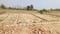 Gosaipur Mohaon Plot View 2