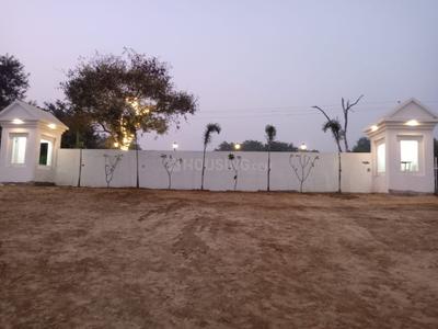 Sithauli Kala Plot View 2