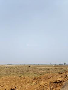 Image of 2000 Sq.ft 2 BHK Farm House for sale in Khordha, Khordha District for Rs. 300000
