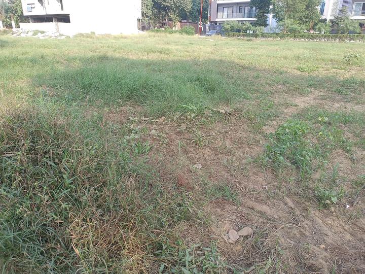 Experion The Westerlies Plots Main Image 1