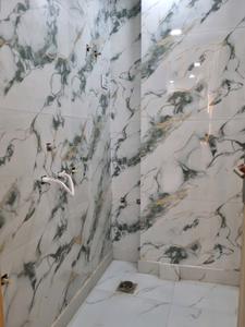 Common Bathroom Image of 620 Sq.ft 2 BHK Apartment / Flat for sale in Saarthi Estonia Homes by Saarthi Properties And Builder, Nawada New Delhi for Rs. 3700001